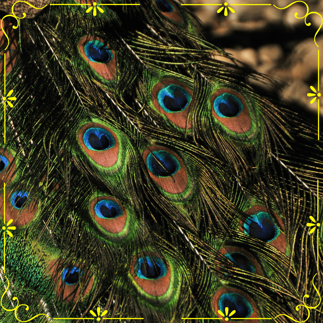 КУРС "ОТ МЫСЛИ К ЗДОРОВЬЮ"